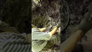 Немецкая каска из болота! Сохран потрясающий! Отмоем от грязи в следующем ролике! 