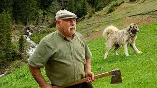 Küçük Ağa'nın Yayla Göçü | Belgesel Film