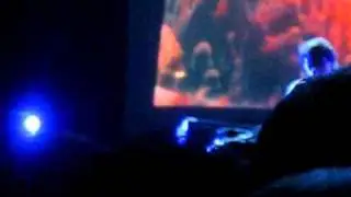 Panda Bear- 