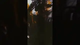 15 августа 2024 г.