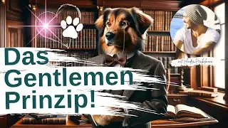 Praxis-Übung -) Impulskontrolle bei deinem Hund als ultimativer Problemlöser! 🐶🐾