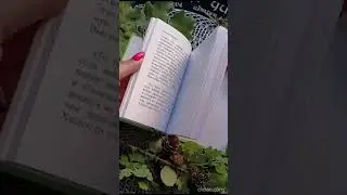 Книга Леонида Кораблева 
