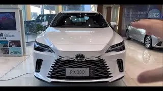 2025 Lexus RX300 Ultime Detailed Explanation ..