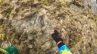 GRABE SA ISLA NATO NAABUTAN NG HIBAS MGA ISDA