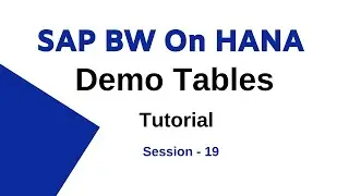 SAP BW On Hana Demo Tables Tutorial | Packages, Business Process - 19