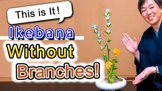 Ikebana Without Branches!