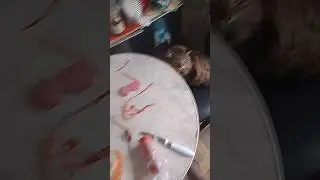 Кот Кузя и колбаса