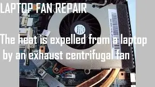 How to repair/ replace Laptop fan with sewing machine oil
