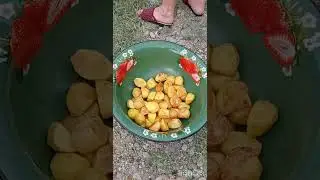 Сірне қазақ халқының сүйікті асы