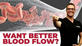 Best Diet for Blood Circulation & Blood Flow [Top 9 Foods!]