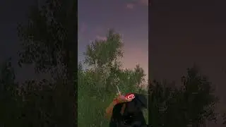 нашёл кейс радмир рп 