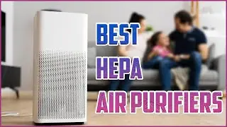 The 5 Best Hepa Air Purifiers of 2023