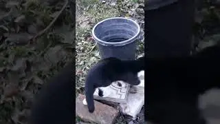 жажда сушит, воды воды!!!!