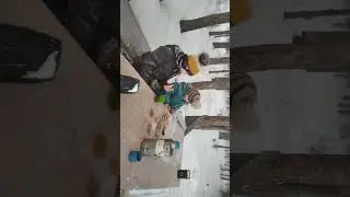 прогулка 2023