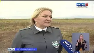 Плоды астраханских фермеров проверили на наличие вредителей2