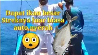 Keseruan Memancing di laut dapat ikan besar.....😲😰