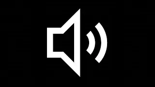 Everybody Put Your Hands In The Air (EDM) Sound Effect