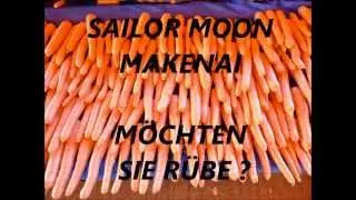 SONGVERHÖRER AGATHE BAUER 2011-2012 full