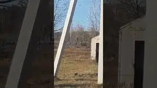 Медведь в п. Песчанка Заб. край