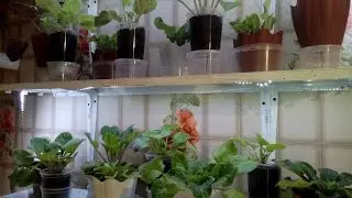 #Светодиодная