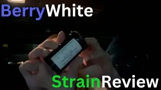 Berry White Strain Review (First Sesh From Colorado!)