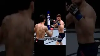 Holloway's Precision Strike Against Calvin Kattar