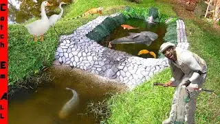 ADDING STONE and HYDRO PUMPS to the BACKYARD WATERFALL BUILD for My EXOTIC PETS!