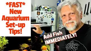 My *Best Tips* for Setting Up a NEW AQUARIUM!