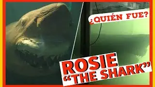 Fue encontrada en una exploración urbana ....... El caso de Rosie 