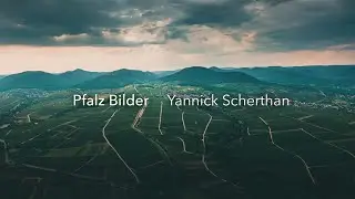 Pfalz Bilder: Yannick Scherthan