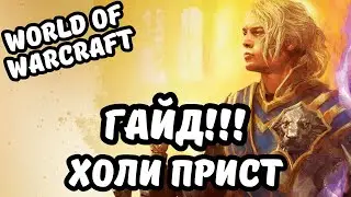 ГАЙД | ХОЛИ ПРИСТ | DRAGONFLIGHT 10.1.5 | FALCON_CSPORTS