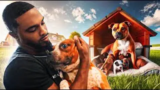 Why The Female Dog Is Important for breeding program