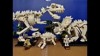 LEGO Fossil Exhibits