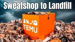 The True Cost of Temu