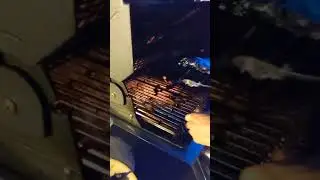 Семейная Жизнь в Америке. Отдых, гриль, барбекю!  Ужасно Остро🔥‼️👍😆😝
