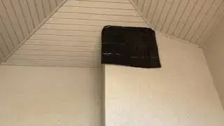 How does bat removal work?