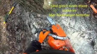 Holzsaison 2015/16 Forstwirtschaft u. Brennholz machen Holzmachen Teil 1 Fällen
