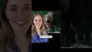 3 movies to watch before moving to Australia! To prepare you for your trip! 