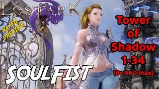 Lost Ark SOULFIST 