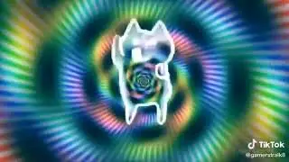 Animal tik tok