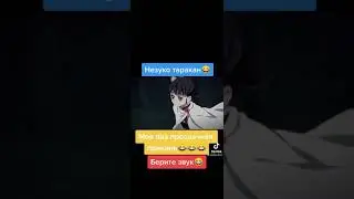 назуко таракан
