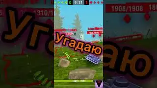 Твоя стата!?