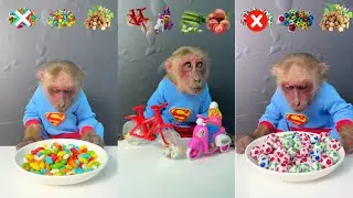 Bin Eat fruit in order of emotions