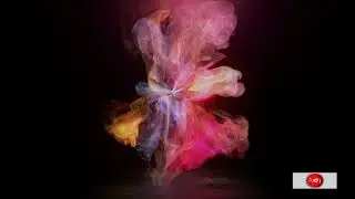 copyright free butterfly intro, best intro to viral videos