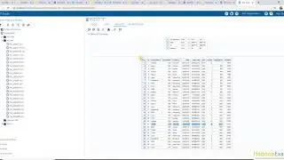 SAS A00-231 : Problem Scenario-3 and MCQ example : SAS Certified Specialist: Base Programming
