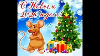 Поздравление От Кабана