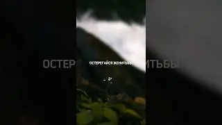 Не женись на подобных женщинах… Шейх Сулейман ар-Рухейли