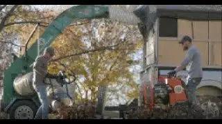 Billy Goat Leaf Dragon and Hurricane Fall Clean-Up