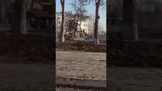 Daraxt kesishni yangi usuli