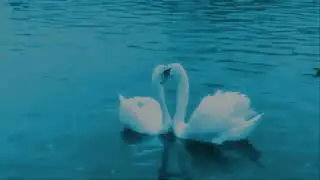 Ялгызлык утында янмагыз....Зәйнәп Фәрхетдинова.